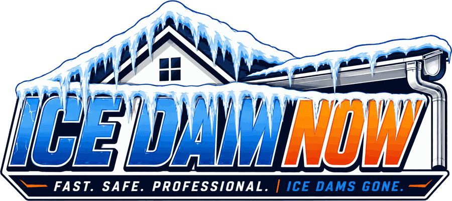 Ice Dam Now