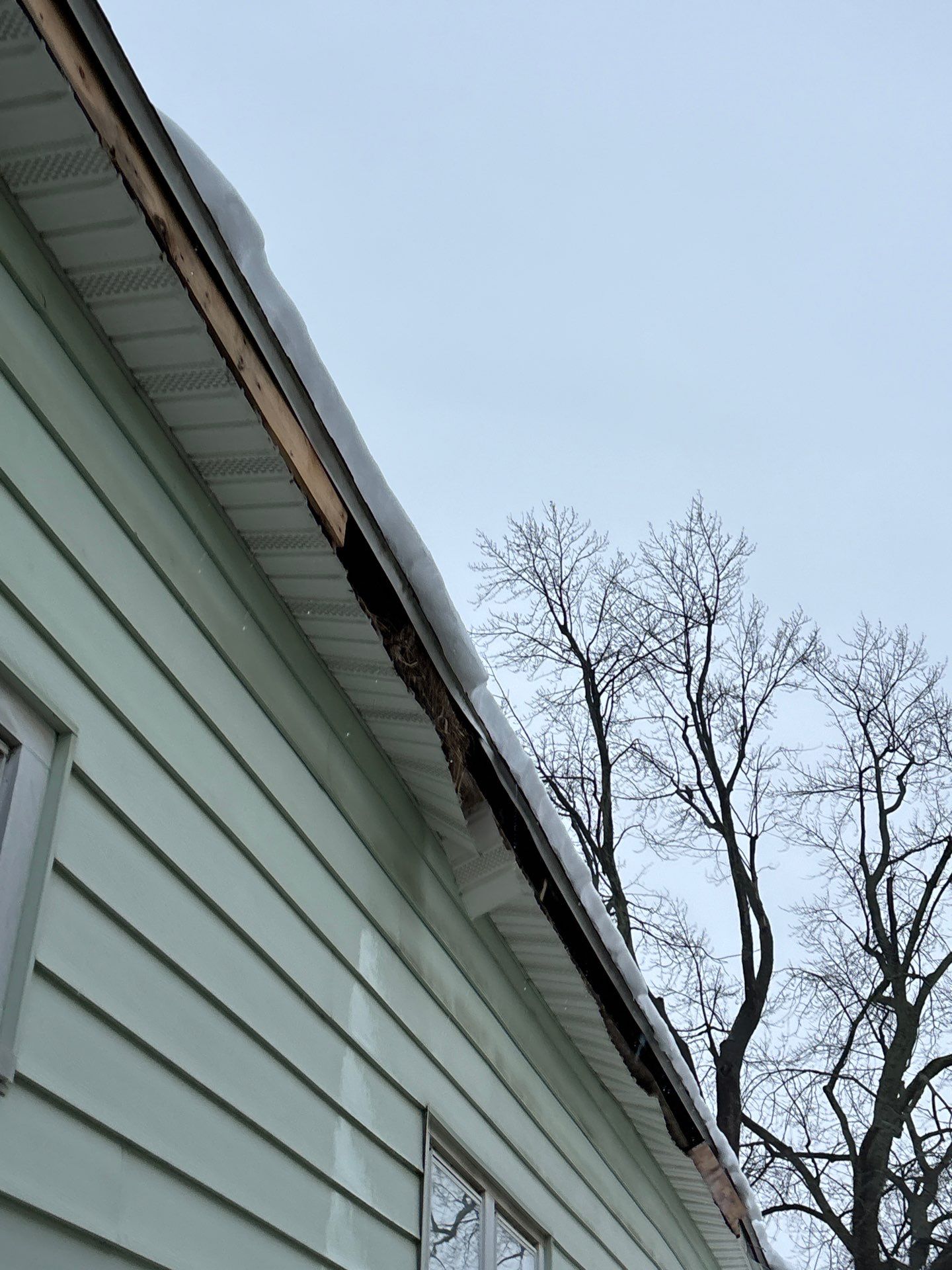 Gutters pulled away from roofline by ice dam weight revealing rotted fascia board
