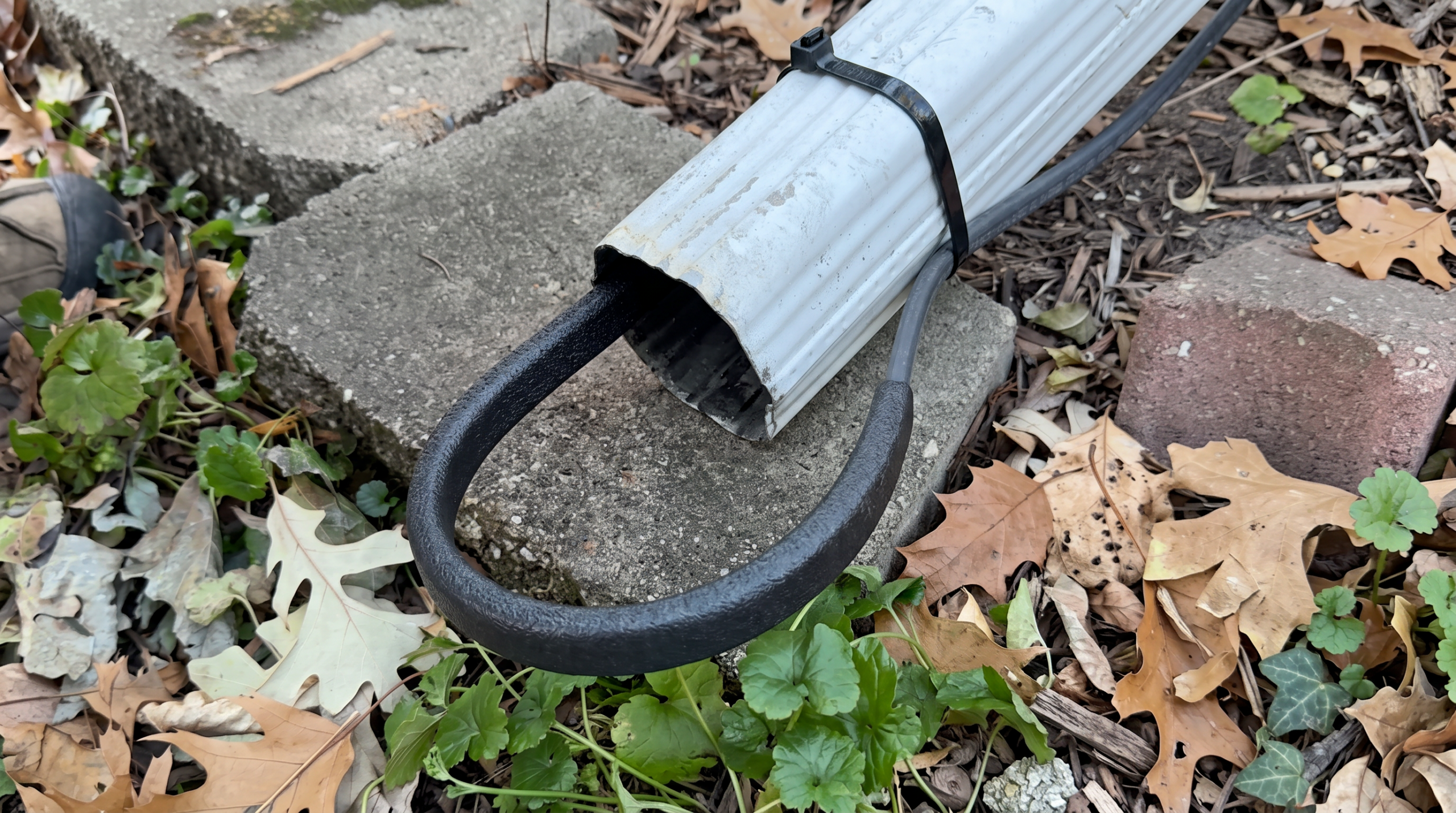 Heated cable loop extending from end of white aluminum downspout over concrete step