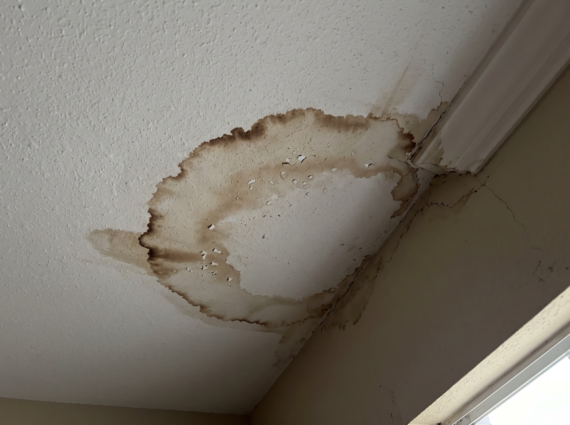Large brown water stain on white ceiling near wall corner from ice dam