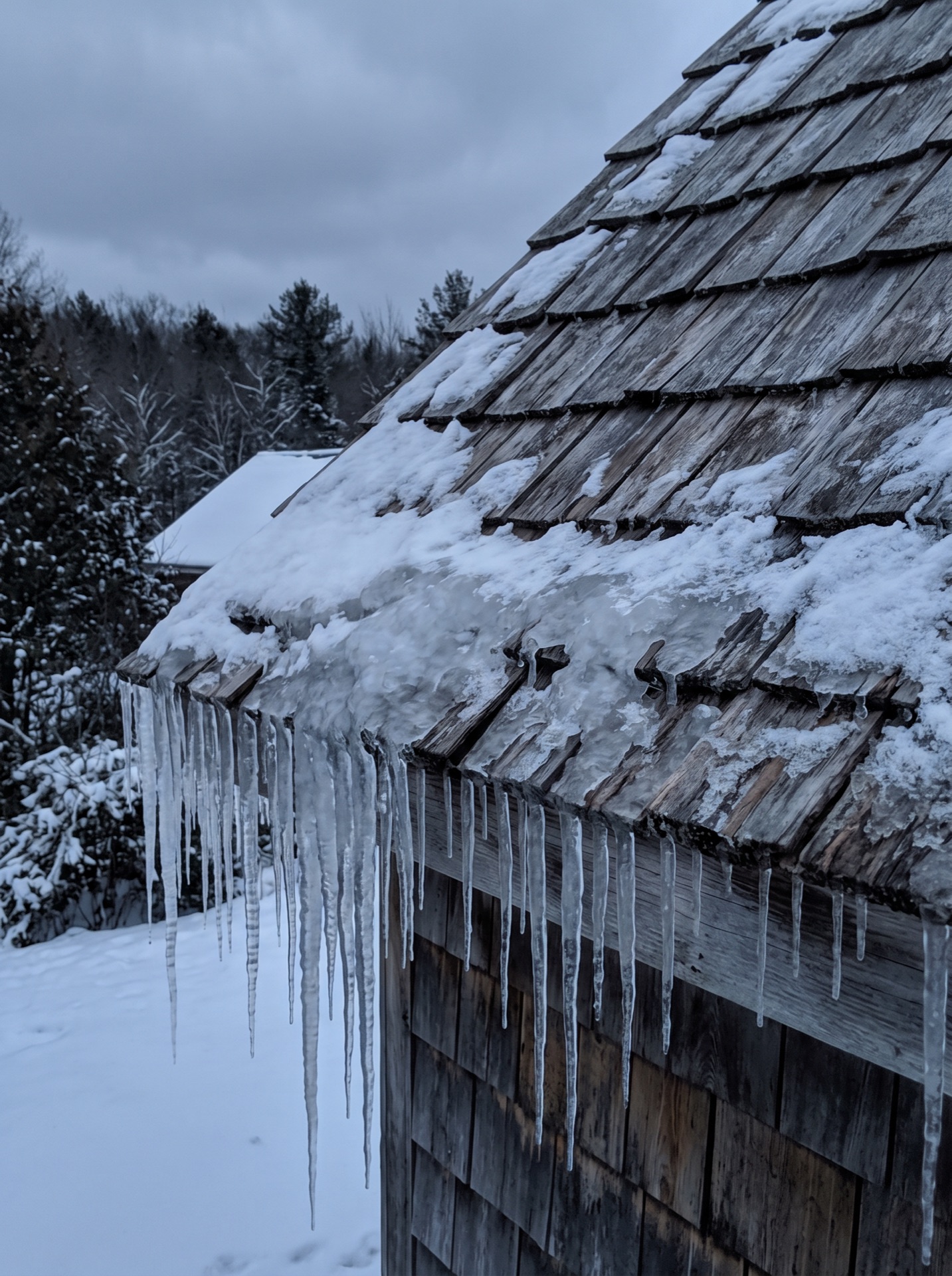 Large icicles hanging from snow-covered cedar shake roof on weathered barn