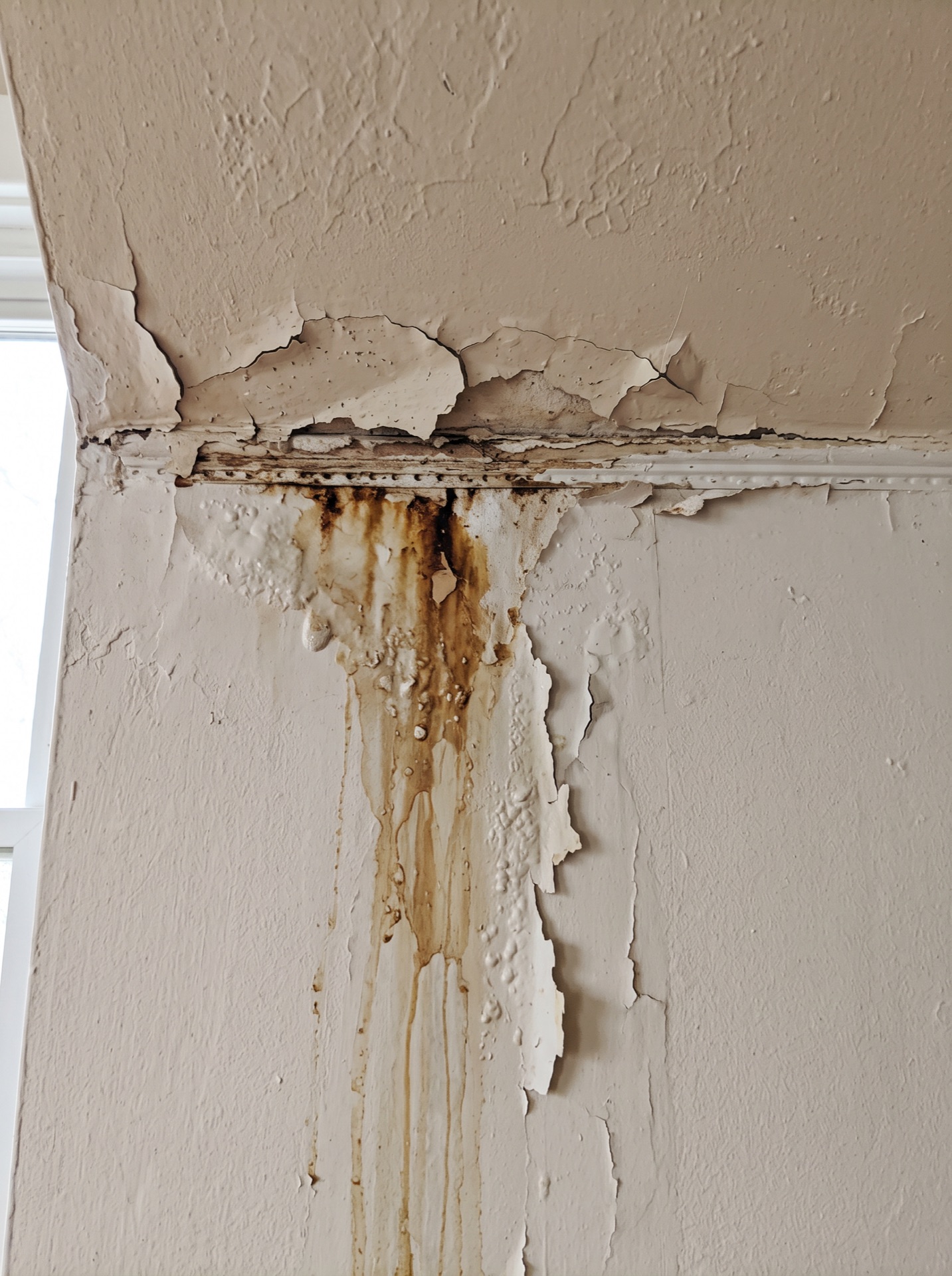 Peeling paint and brown water stains on interior wall from ice dam damage