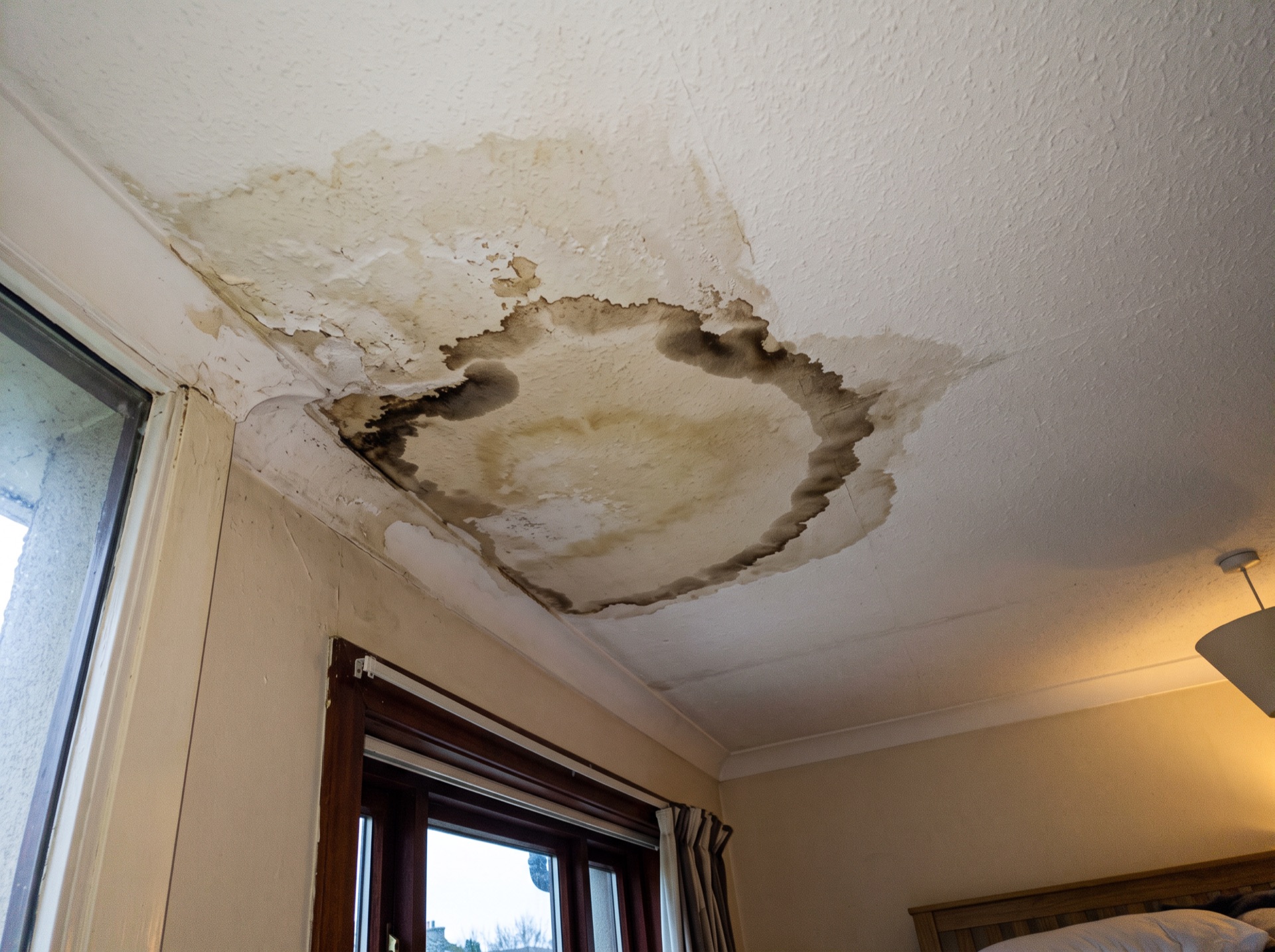 Large water stain with black mold spreading across bedroom ceiling near window