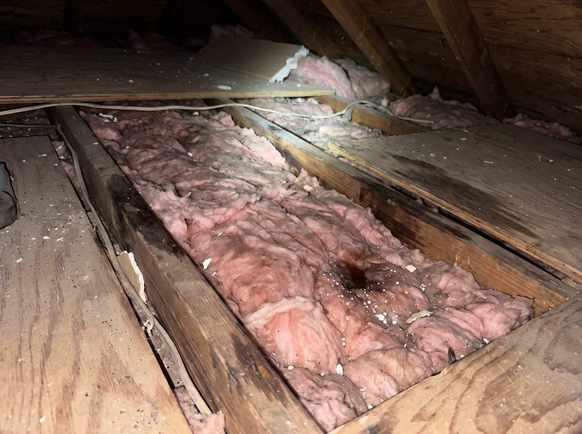 wet and darkened pink fiberglass attic insulation damaged by ice dam water intrusion