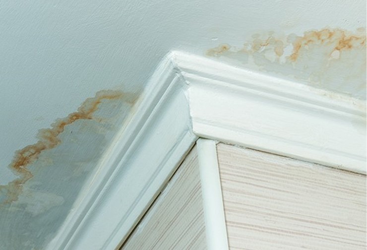 Water stains and rust marks on ceiling and wall near crown molding from ice dam leak