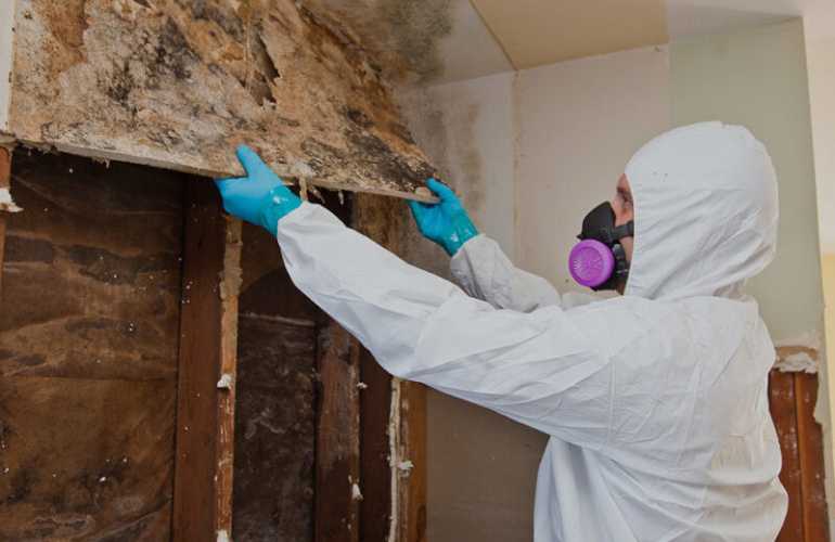 Technician in protective suit removing mold-covered drywall from interior wall