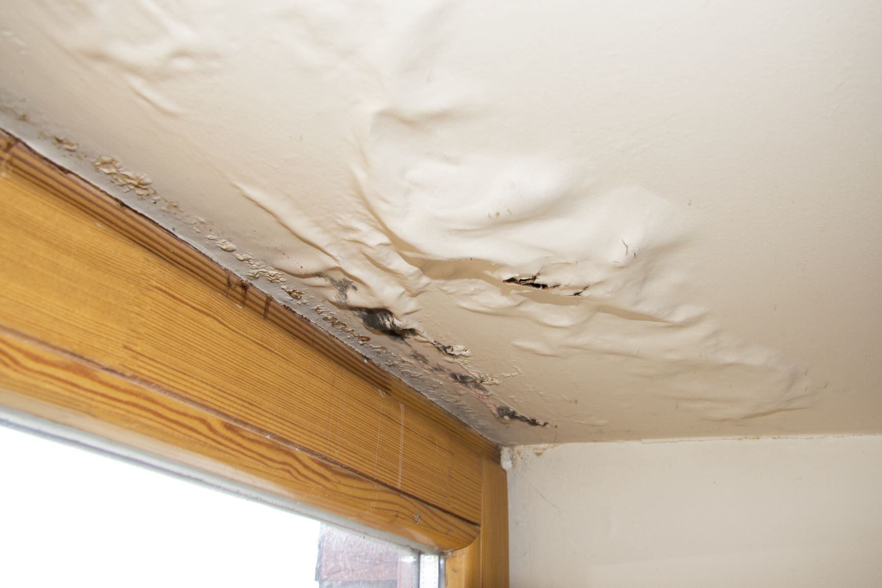 peeling ceiling paint and black mold damage above a wood-framed window